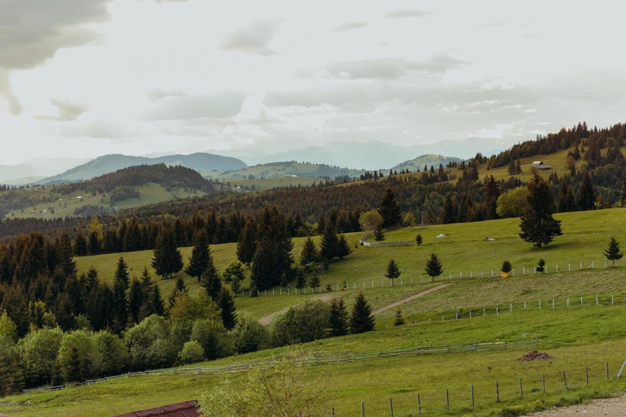 Popasul Transilvania Piatra Fantanele Exterior photo