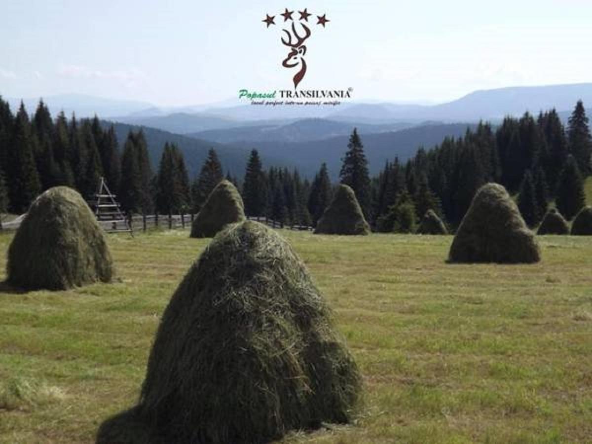 Popasul Transilvania Piatra Fantanele Exterior photo
